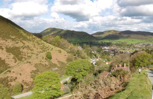 Milford Tree Tops - Foto 23