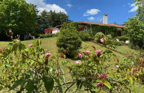 Casa do Lago - Foto 41