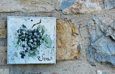 Uva - Poderone - Foto 1