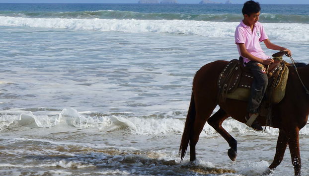 Ixtapa Zihuatanejo Horse Riding