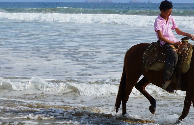 Ixtapa Zihuatanejo Horse Riding - Foto 5