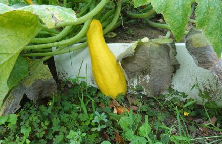 Apartment Mia - Foto 63