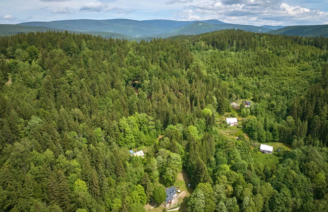 Sunny Slope & Sauna - Foto 35