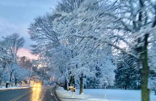 Clear Pond Getaway - Photo 60