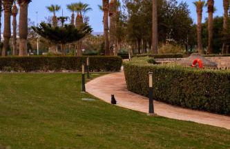 Apartamento Almerimar primera linea de playa - Foto 47