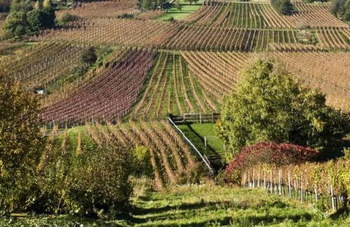 Kobel Comfortable holiday residence - Photo 20