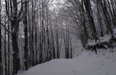 Chalet Aria Sottile - Foto 16