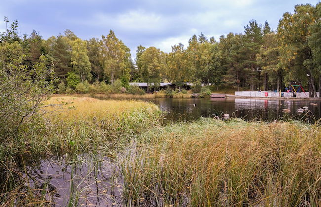 Macdonald Lochanhully Woodland Club - Foto 55