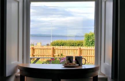 Little Egret - Foto 18