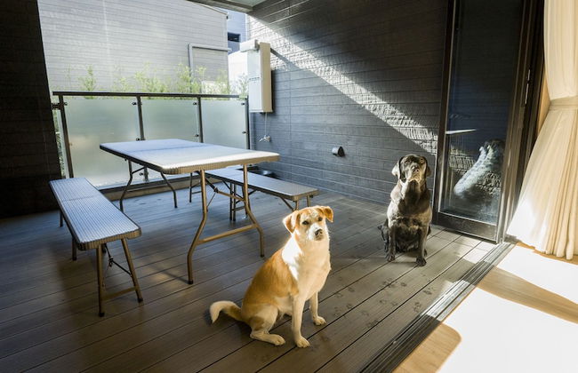 Rakuten STAY Nikko Hoden - Photo 34