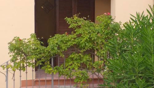 PICCI HOUSE - Foto 4