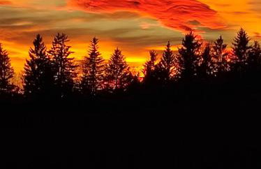 Haus Eschenberg - Foto 26