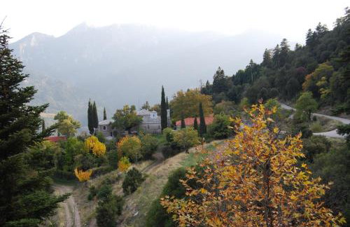 Dryades Guesthouse - Foto 41