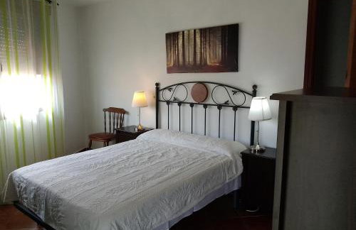 EL VIEJO OLMO - Foto 5