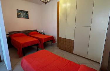 Le camelie 2 di Francesca - Foto 13