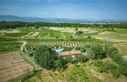 Villa Pescheto With Private Pool Close To Lucca - Foto 39