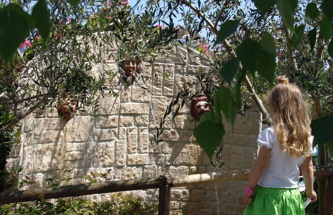 Fattoria Belvedere - Photo 25