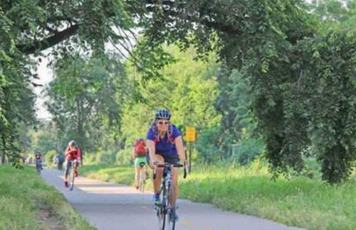 The Urban Roost I A Rustic City Escape - Foto 46