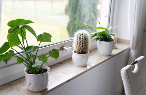 Idyllische Wohnung mit Weitblick - Foto 11