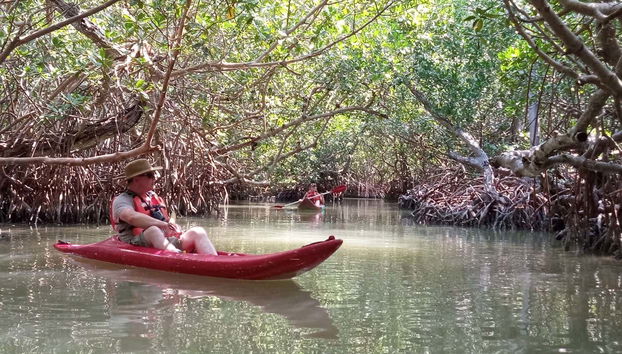 Disfrutando del tour en kayak por Isla Aguada
