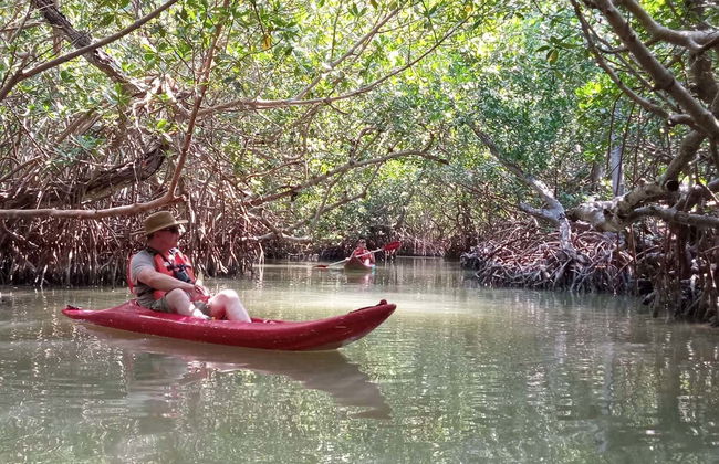 Tour della laguna di Términos in kayak - Foto 2
