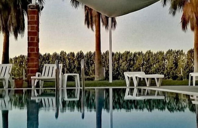 Herdade da Diabroria - Foto 40