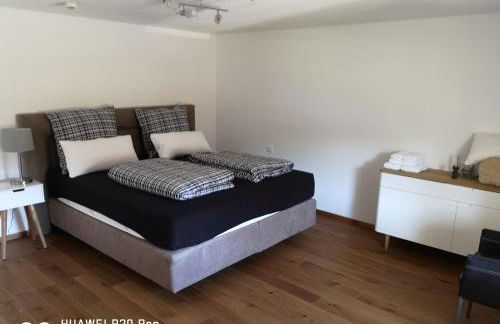 Luxuriöse Ferienwohnung im Herzen des Sauerlandes - Foto 7