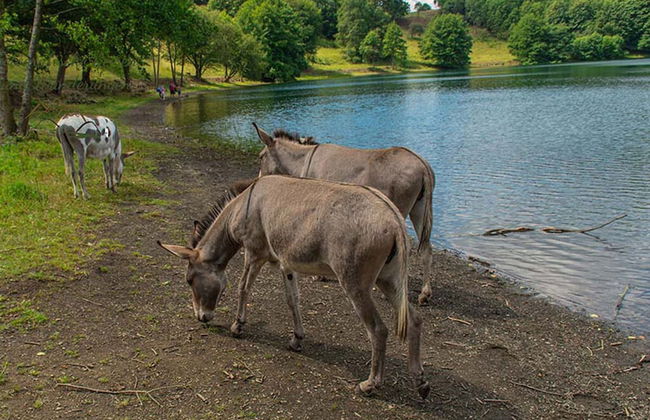 Cosy Apartment Near Center - Foto 23