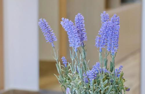 Seaside Apartments Hrka - Standard One Bedroom Apartment with Terrace and Sea View 2 - Foto 26