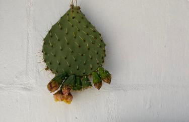 Penthouse Apartment with Large Terrace and Veranda - Foto 27