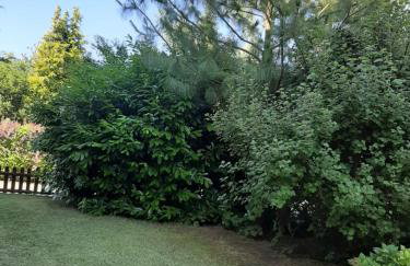 Apartament – 3 pokojowe dwupoziomowe mieszkanie z ogrodem - Foto 2