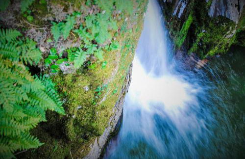 Alojamentos Turísticos São Torcato Moradal Turismo Espaço Rural - Foto 5