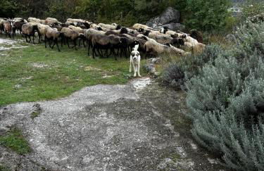 Torretta Margiotta - Foto 11