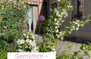 Kochstedter Wohnstuben - Wohnen mit Naturbaustoffen in der Bauhausstadt Dessau - Foto 1