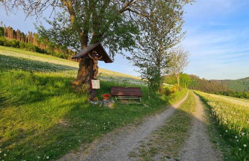 Ferienwohnung Hennemann - Foto 17