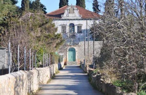 Apartments Lena - Photo 32