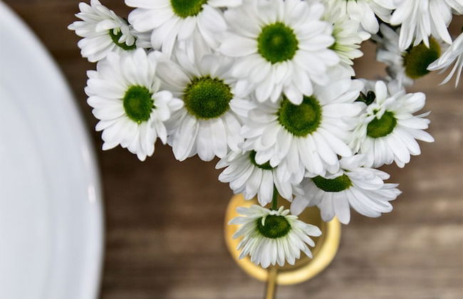 Residenza Toledo Lifestyle - Foto 63