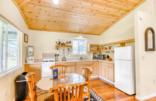 Kahu 'lo - Guardian Hawk - Foto 8