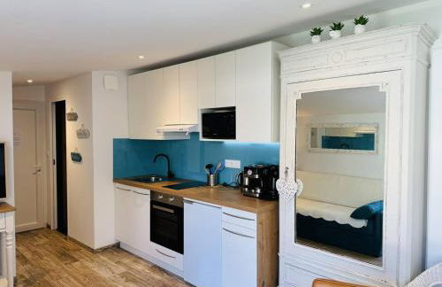 Studio Ty Cool, jardin 200m carré, 50m plage, wifi, parking - Foto 9