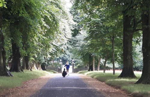 The Coach House within heritage Tregrehan Garden on Cornwall's South Coast - Photo 22