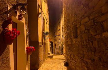 Romantic home stone with amazing view lake of Como and Oleandra - Foto 18