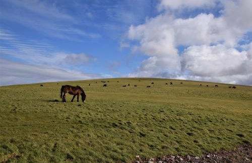 3 Bed in Parracombe BDOWN - Foto 29