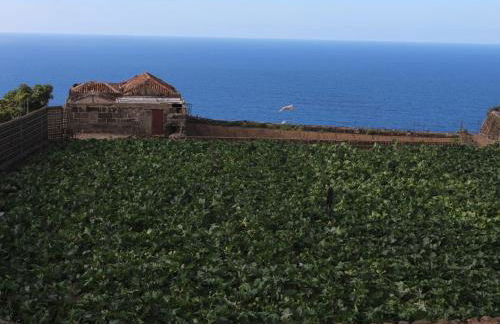 Apartamento las Viñas 1 - Foto 34