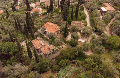 Studios Kyparissi & Spa - Photo 58