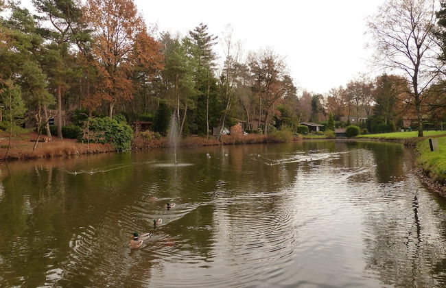 Chalet in Parc de Kievit With Private Garden - Foto 49