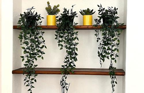 La casa di Ale nel centro storico di Cagliari - Photo 15