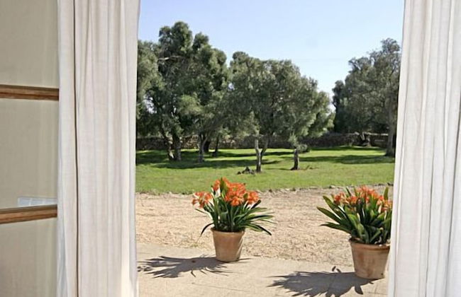 Agroturismo Es Molí de Son Maiol - Foto 27