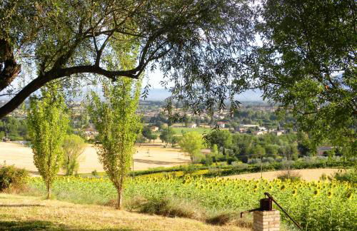 Appartamenti Verde Collina Umbra - Foto 10