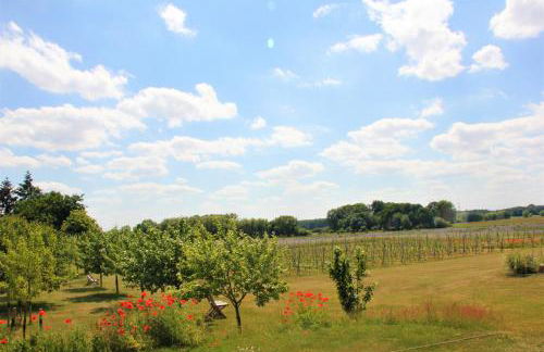 Landhaus Fünfseen - Foto 30