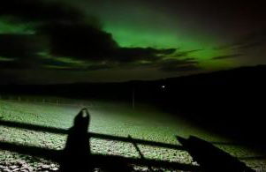 Cwm Uchaf Holiday Home, hot tub and horse view! - Photo 38